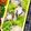 nosso's cooksnap of when they made 塩昆布とチーズのおにぎり.