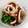 ｍｒｓ．Ｑｕｅｅｎ's cooksnap of when they made イカと小松菜のつゆ炒め.