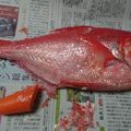 めい48's cooksnap of when they made 魚の鱗の取り方！.