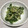 クックPEVDFZ☆'s cooksnap of when they made 大根と大根の葉の漬け物♪.