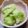 やわり's cooksnap of when they made ゆで白菜の胡麻酢和え.
