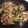 モモクリアオ's cooksnap of when they made ピーマン玉ねぎベーコンおかかマヨ炒め.
