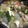 ＋SUN3's cooksnap of when they made たっぷり白菜の肉だんごスープ.
