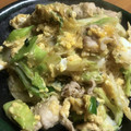ae86_km's cooksnap of when they made 白菜大量消費！ 白菜と春雨の旨辛炒め.