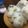 ＋SUN3's cooksnap of when they made 塩えんどうのおにぎり.