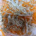 にゃんこりんご's cooksnap of when they made 簡単！紅白なます.