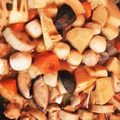 teriyakime's cooksnap of when they made ホッコリ★おふくろの味【炒り鶏・筑前煮】.