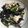かなった's cooksnap of when they made からし菜と豆腐のサラダ.