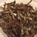 ponypony33's cooksnap of when they made くるみ入り田作り【おせち料理】.