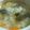 みお親父's cooksnap of when they made 鯖の柚子塩鍋.