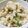 クックRRTZ8C☆'s cooksnap of when they made あさりご飯.