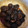 yukky19790515's cooksnap of when they made しいたけのうま煮☆お正月に.