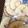 LANAROY's cooksnap of when they made 簡単！自家製干しりんご♡冬の晴れた日に.