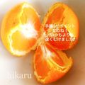 ひかる♪'s cooksnap of when they made みかんを5秒でむく方法^ ^和歌山むき.