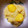 kzsugiura's cooksnap of when they made しっとりなめらか栗きんとん【おせち料理】.