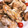 shoco9x8's cooksnap of when they made うちの唐揚げ.