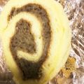 クックSM444J☆'s cooksnap of when they made ＊ロールケーキ生地＊20分簡単~ふわふわ.