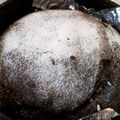ぷにぷに～mama's cooksnap of when they made クリスマスに簡単ダブルチョコホールケーキ.