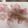 クック62K42J☆'s cooksnap of when they made 簡単おせち（かまぼこの飾り切り）.