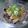 Ｓｈｉｅ's cooksnap of when they made お酒に低㌍つまみ♡砂肝のおろしポン酢和え.