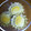 タクちゃん２'s cooksnap of when they made 栗きんとん.
