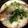 bola×bola's cooksnap of when they made 鯛★(めで鯛めし)土鍋で簡単豪華！.