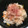 レインボー主婦's cooksnap of when they made 白だしで簡単！きのこの炊き込みご飯.