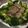 akkunpapa's cooksnap of when they made ノルウェー料理★簡単サーモンステーキ焼き.