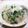 たまＤＡＹＯ's cooksnap of when they made 牡蠣とほうれん草のシチュー.