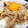 にゃん。にゃん。's cooksnap of when they made ５分で完成！すき焼き風牛丼.