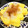 YUKIKI☆'s cooksnap of when they made 白だしで簡単♪＊だし巻き＊.