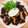 whha's cooksnap of when they made カフェ風唐揚げマヨ＆ヨーグルトソース.