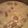 ☆みゅぽん☆'s cooksnap of when they made 優しい味♪キャベツのミルクスープ.