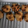 こうけママ's cooksnap of when they made 簡単でヘルシー♪ヨーグルトで作るスコーン.