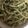 ma___111's cooksnap of when they made しそとピーナツで!!　ジェノベーゼソース.