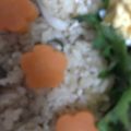 ma___111's cooksnap of when they made クッキー型で人参の飾り切り　ねじり梅.