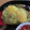 daikanon's cooksnap of when they made 簡単お節！栗きんとん☆材料2つ.