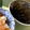 Tammychan's cooksnap of when they made 黒豆の煮豆.