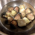 ポメちょん's cooksnap of when they made 簡単☆貝の砂抜き.