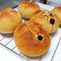 ぶん☆ぎん's cooksnap of when they made ふんわり香る！きなこのコッペパン.