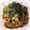 akiiiiiy's cooksnap of when they made しめじとエリンギのwゴマ炒め.