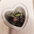 yu20mama's cooksnap of when they made ひじきと枝豆のマヨネーズ和えサラダ.