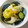 クックYBYKLO☆'s cooksnap of when they made 白菜と大根とゆず風味の浅漬け.