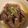 seitocci's cooksnap of when they made 【簡単おつまみ】レバー玉ねぎゴマ塩和え.