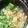 ﾋﾟﾛﾐ♡'s cooksnap of when they made オクラのおひたし♬.
