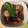 スイスおじさん☆'s cooksnap of when they made 里芋とイイダコの煮物.