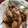 クックM1AVLK☆'s cooksnap of when they made さしみ昆布(切り昆布)といわし缶の煮物.