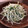 ☆kaoppe☆'s cooksnap of when they made W黒ごまで～もやし炒め.