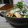 ダイナマイト漆黒's cooksnap of when they made 簡単中華風ちりめんサラダ.