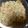 ｔｏｍｏ☆彡's cooksnap of when they made シーチキンマヨネーズのスコップコロッケ.